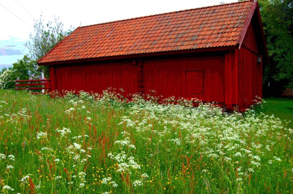 Längtar till försommaren